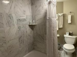 新奥尔良圣彼得堡法国区旅馆的一间带卫生间和淋浴的浴室