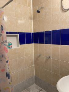 拉利伯塔德Playa El Obispo E La Marea building La Libertad的浴室设有蓝色和棕色瓷砖淋浴。