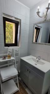 GiurgiuCasa Domnească的一间带水槽和镜子的浴室