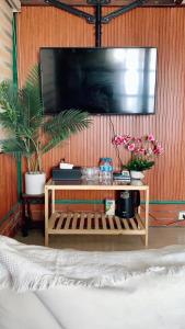 河内Old House Homestay的墙上的电视机,桌子上放着植物