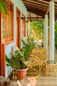 蒂瑟默哈拉默Nehansa Resort and safari的门廊,带椅子和盆栽植物