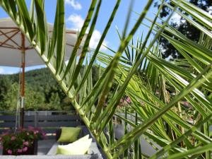 格恩斯巴赫Hotel Wanderlust B&B的透过棕榈树的叶子