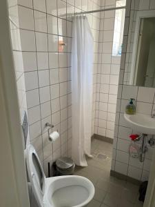 哥本哈根Nice room near airport的一间带卫生间和水槽的浴室