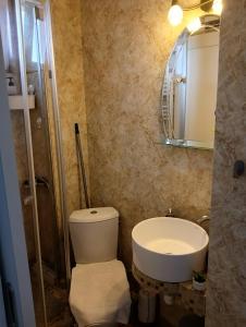 蒂米什瓦拉Crystal Room的一间带卫生间、水槽和镜子的浴室