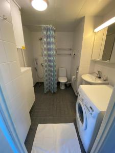 万塔Kotimaailma - Saunallinen kolmio lähellä lentokenttää的浴室配有卫生间水槽和洗衣机。