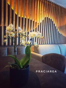 奥蒂塞伊Pra Ciarea Apartments的花瓶,花瓶,花瓶,桌子上,有植物