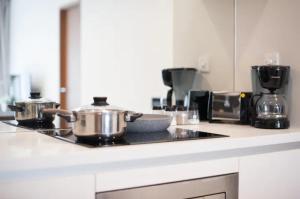 吉隆坡Soho Suites KLCC的厨房配有两个锅碗瓢盆和炉灶