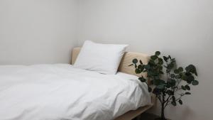 首尔Seoul Vibes的配有枕头和植物的白色床