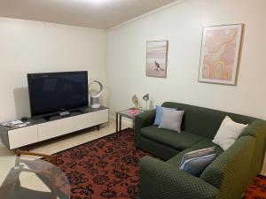 马奇Comfortable and well equipped Studio Apartment in Mudgee - Rest Easy Mudgee Studio的客厅配有2把绿色椅子和平面电视