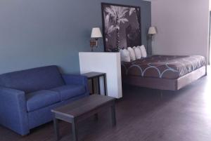 达尼亚滩Super 8 Motel by Wyndham near Fort Lauderdale Arpt的客厅配有沙发和1张床