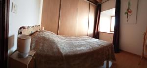 Chaspuzacmaison Mouilhade的一间卧室配有一张带毯子的床和窗户