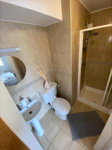 戈尔韦Cosy 4 Bedroom Galway House with Rear Garden Patio的浴室配有卫生间、盥洗盆和淋浴。