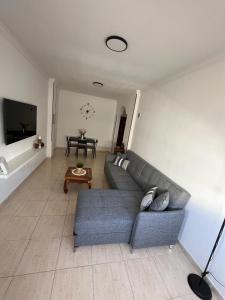 维辛达里奥NIVARIA SUITE的客厅配有灰色的沙发和桌子