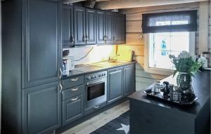 Vågsli2 Bedroom Awesome Apartment In Edland的厨房配有蓝色橱柜、水槽和炉灶。