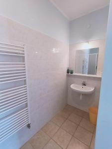布拉迪斯拉发Cozy Room with garden in Bratislava的白色的浴室设有水槽和镜子