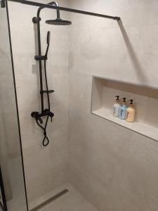 布达佩斯Ó 38 Luxe Loft的浴室里设有玻璃门淋浴