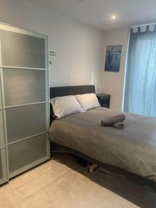 伦敦Luxurious NEW 2 Bed apartment的一间卧室配有一张床和一个玻璃衣柜