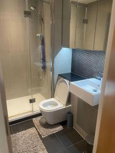 伦敦Luxurious NEW 2 Bed apartment的带淋浴、卫生间和盥洗盆的浴室