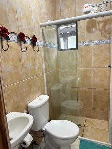 帕拉蒂Casa Perto do Centro的浴室配有卫生间、淋浴和盥洗盆。