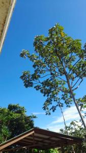 La SuizaCorredores del Pacuare的蓝天建筑前的树