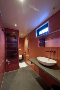 登博斯Hoteldebootel 's-Hertogenbosch met prive sauna的一间带大水槽和卫生间的浴室