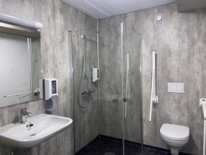 艾于兰Winjum Hostel Stegastein的带淋浴、盥洗盆和卫生间的浴室