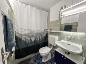 格林德尔瓦尔德Chalet Ribi的一间带卫生间和淋浴帘的浴室