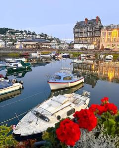 达特茅斯Home in Dartmouth, Devon with Private Parking的一群船停靠在海港,种着红色的花