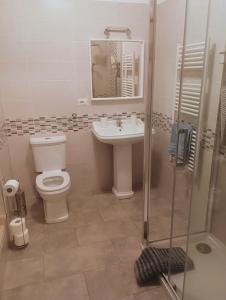 卡斯泰拉内塔Villa 2 Fields的浴室配有卫生间、盥洗盆和淋浴。