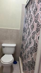 拿骚Tropical Hideaway的一间带卫生间和淋浴帘的浴室
