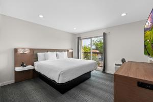 桑德波因特Cedar Street Hotel & Suites的酒店客房设有床和窗户。