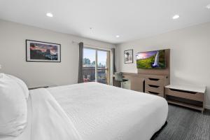 桑德波因特Cedar Street Hotel & Suites的一间白色卧室,配有床和电视