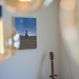 富良野The Box House的墙上一棵树和吉他的照片