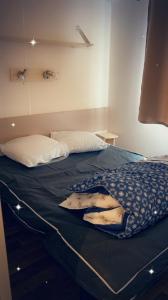 BoofzheimMobil home climatisé Proche Europa Park的一间卧室配有一张带蓝色毯子的床