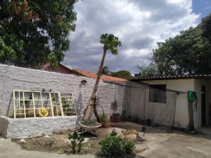 卡瓦坎特Casa Aloe Vera的靠在有窗户的建筑上的棕榈树
