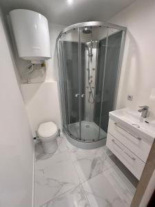 马赛STUDIO ROOFTOP 8e PRADO VELODROME MER的带淋浴、卫生间和盥洗盆的浴室