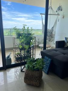 圣卡洛斯Acogedor apartamento de playa en Casamar para 4的客厅配有两株盆栽植物和吊床