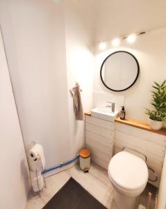 HirsonSublime appartement hyper centre Hirson的一间带卫生间、水槽和镜子的浴室