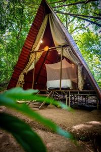 米卡Rio Elemento的森林中间的帐篷