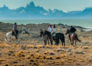 Lago Viedma拉埃斯泰拉庄园民宿的一群在沙漠里骑马的人