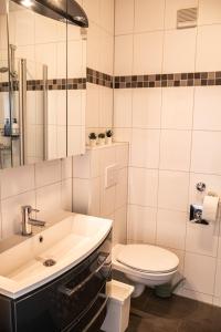 汉诺威Modern, fully equipped apartment, ideal for Messe fair的白色的浴室设有水槽和卫生间。