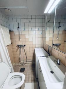 图尔库Ihana yksiö Turun keskustassa的一间带卫生间和水槽的浴室