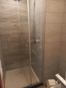 圣克鲁斯PIHARE II的浴室里设有玻璃门淋浴
