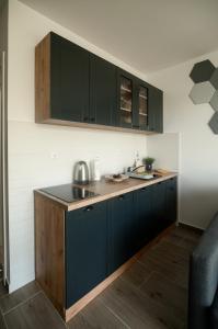 迪瓦伊巴雷Divchy dream studio的厨房配有深蓝色橱柜和木地板