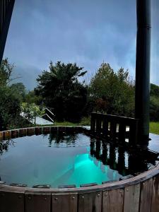 Puerto DunnAysén Lodge - Cabaña con Tinaja的院子里的蓝色水池