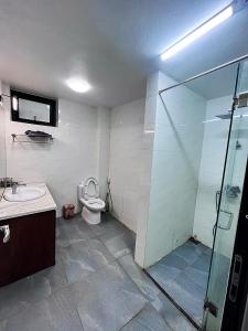 和平BlueHome Villa的浴室配有卫生间、盥洗盆和淋浴。
