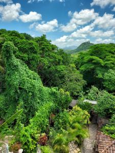 科潘玛雅遗址阶梯住宿加早餐旅馆的享有郁郁葱葱的绿色森林和山脉的美景