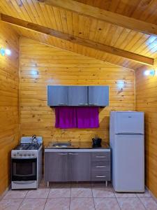 Puerto BossettiCabañas Libertad en Misiones的厨房配有炉灶和冰箱。