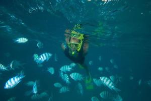 塞尔夫岛Cerf Island Resort的和一群鱼一起在水中游泳的人