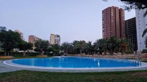 贝尼多姆Calasol - Moderno Apartamento en Cala de Finestrat的一座大型蓝色游泳池,位于拥有高楼房的公园内